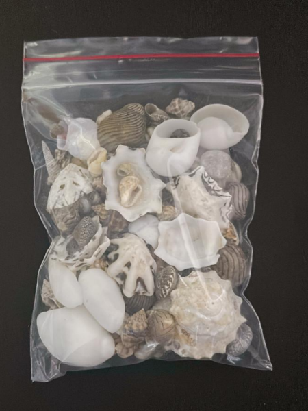 Mix DenizKabukları 50 gr