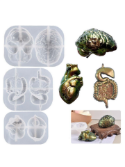 Epoksi Kalp Beyin Diyafram Kalıpları