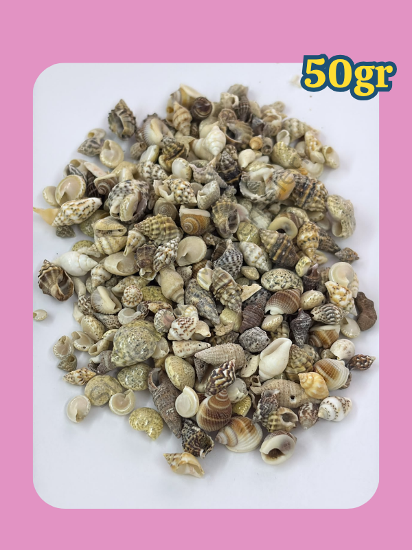 Karışık Minik Deniz Kabukları 50 Gr | Epoksi UV Reçine Dekoratif Dolgu Malzemesi