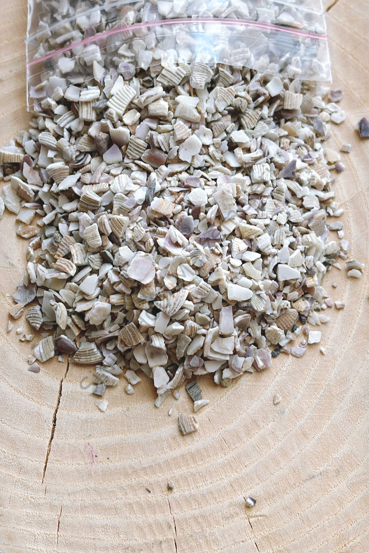 İnce Midye Kırıkları 100 gr