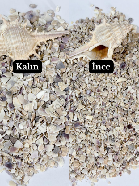 Dekoratif Midye Kırığı - İnce & Kalın Seçenekli 100 GR