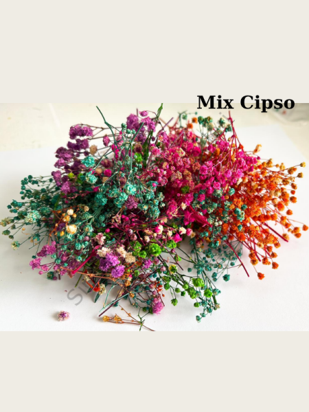 Epoksi Reçine Kurutulmuş Karışık Çiçekler
