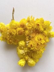 Sarı Kuru çiçek 1 paket