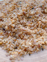 Tropik Küçük Midye Kabuğu Kırıkları 250 gr