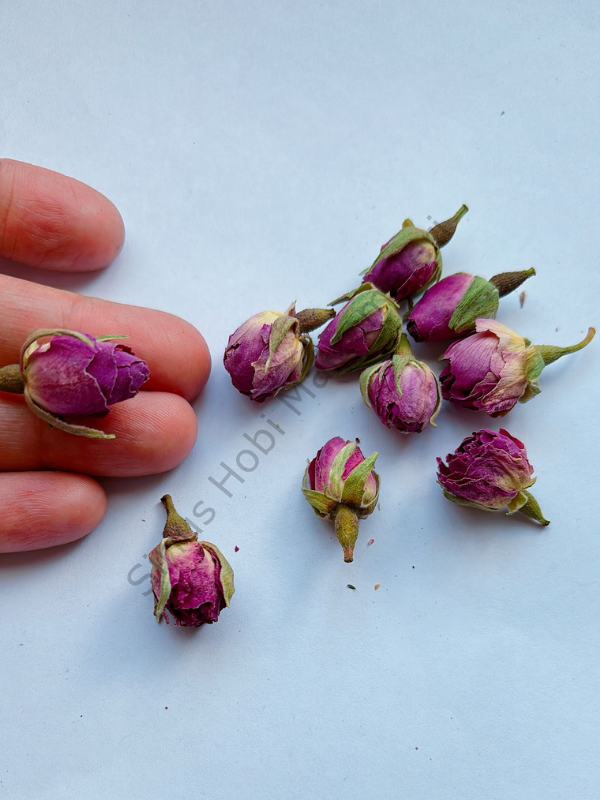 Minik Pembe Güller 10 adet