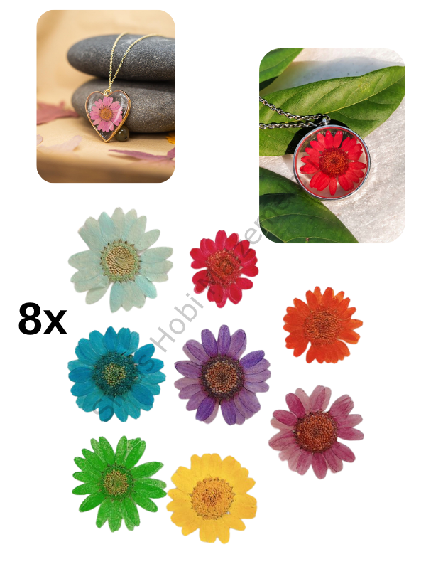 Epoksi Reçine Tasarım Kuru Çiçek, Kurutulmuş Mix Press Çiçekler 8 adet