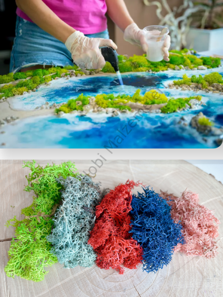 İthal Norveç Yosunu 3 Gr – Epoksi ve Hobi Süsleme İçin Doğal Dekor