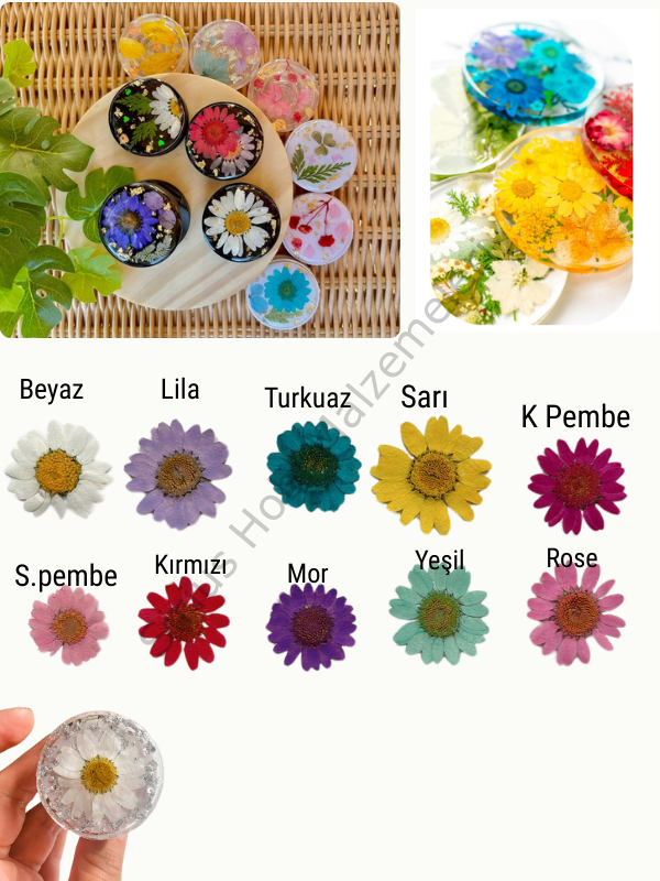 Epoksi Reçine Tasarım Kuru Çiçek, Kurutulmuş Press Çiçekler 6 adet