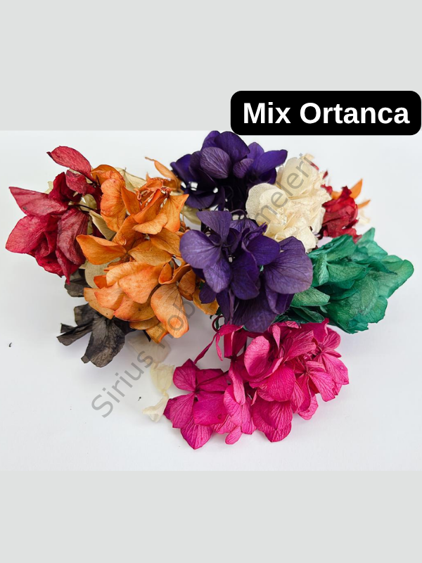 Mix Ortanca Kurutulmuş Çiçek Seti – Epoksi, Mum ve Reçine Tasarımları İçin