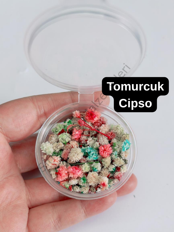 Mix Tomurcuk Çiçek Kutusu 25cc