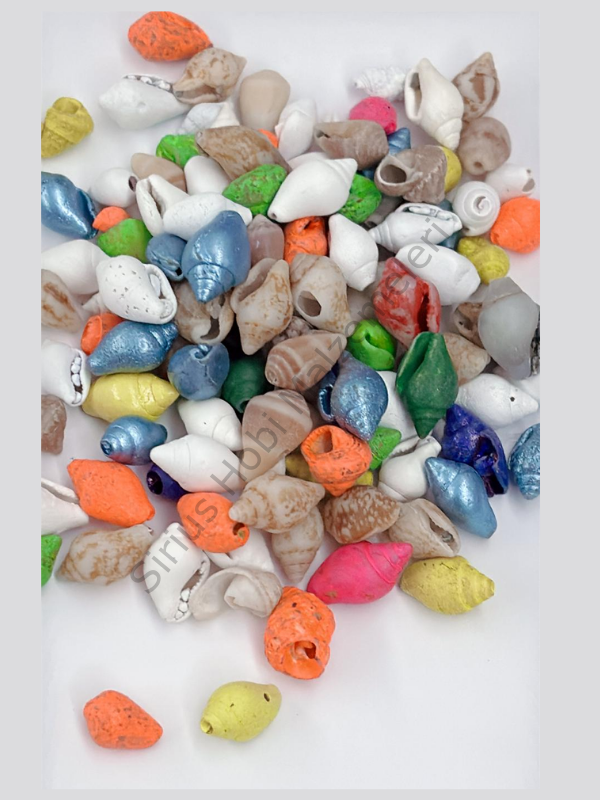Renkli Deniz Kabuğu 25gr