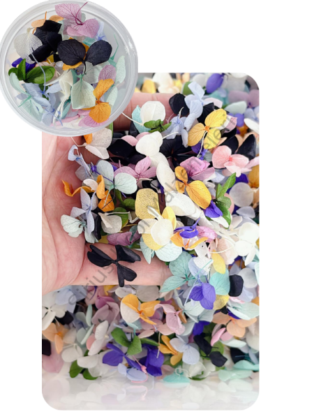 Renkli Minik Ortanca Yaprakları 1gr Kutulu