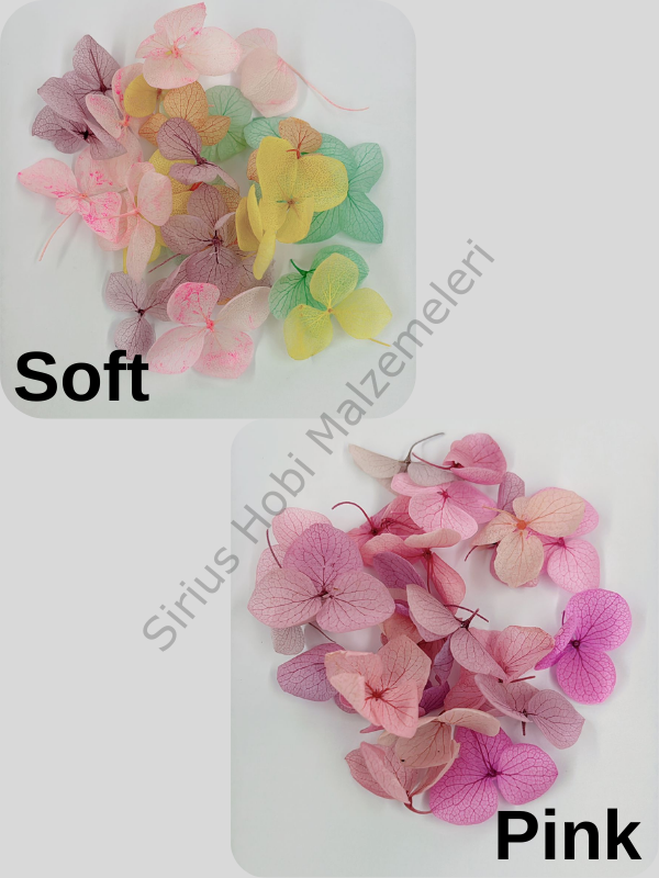 Renkli Minik Ortanca Yaprakları 25 adet