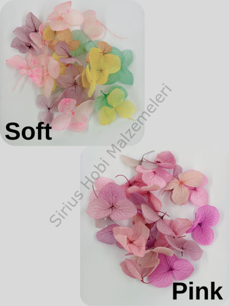 Renkli Minik Ortanca Yaprakları 25 adet