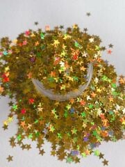 Epoksi Gold Hologram Yıldızlar 2,5 gr